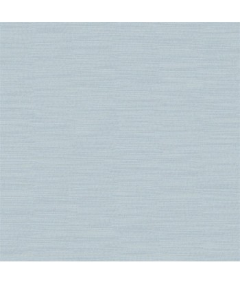 Tissu Pampas Sky Comparez plus de prix