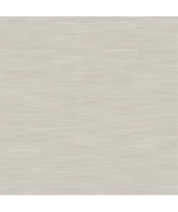 Tissu Pampas Titanium la chaussure