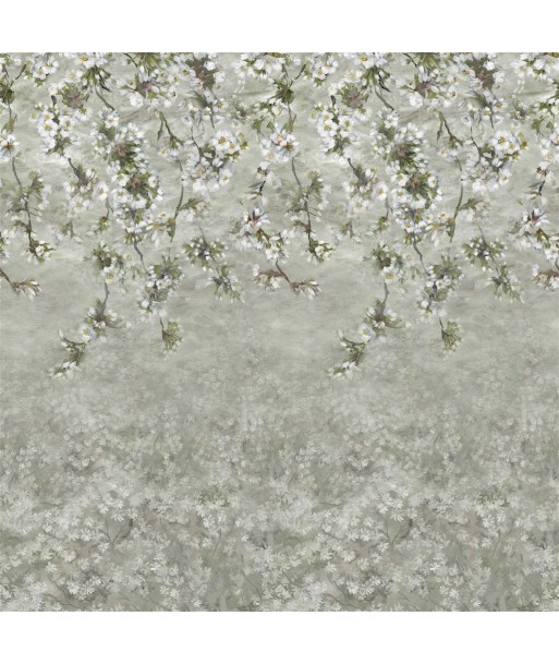 Papier Peint Assam Blossom Platinum d'Europe débarque