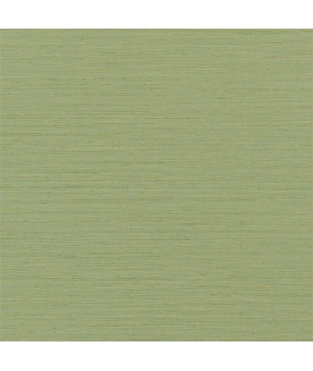 Papier Peint Brera Grasscloth Peridot Comparez plus de prix