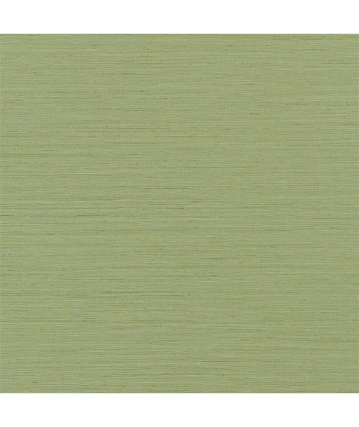 Papier Peint Brera Grasscloth Peridot Comparez plus de prix