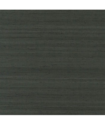 Papier Peint Chinon Gunmetal france