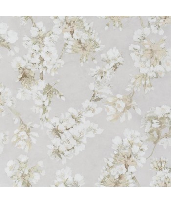 Papier Peint Fleur D Assam Pearl sur le site 