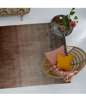 Tapis Savoie Cameo une grave pollution 