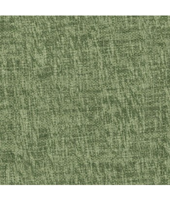 Tissu Cavazzo Emerald Livraison rapide