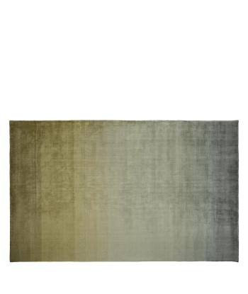 Tapis Savoie Olive votre restaurant rapide dans 