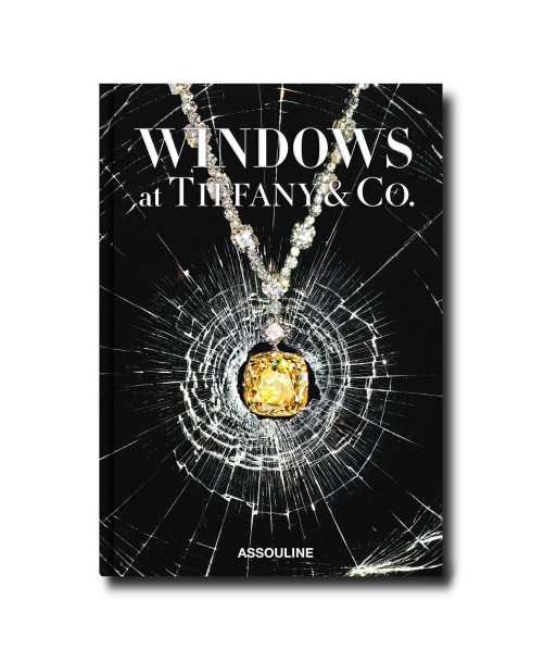 Livre Windows at Tiffany & Co. (Icon Edition) Amélioration de cerveau avec