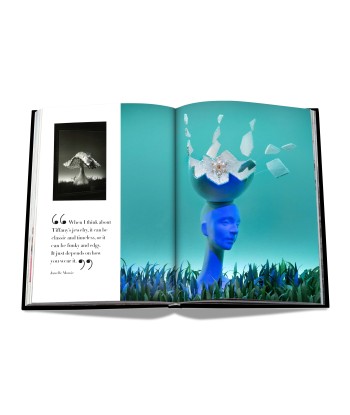 Livre Windows at Tiffany & Co. (Icon Edition) Amélioration de cerveau avec