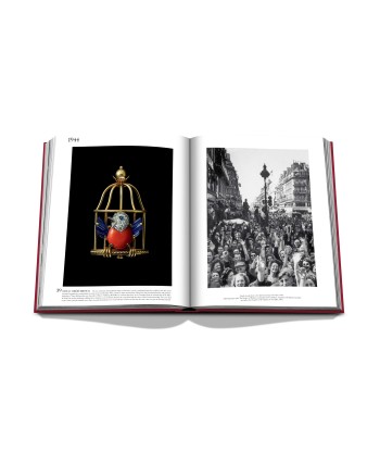 Livre Cartier: Impossible Collection les ligaments