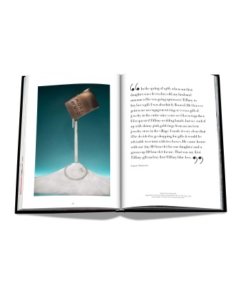 Livre Windows at Tiffany & Co. (Icon Edition) Amélioration de cerveau avec