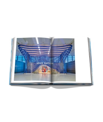 Livre Louis Vuitton Skin: Architecture of Luxury (Paris Edition) 2024