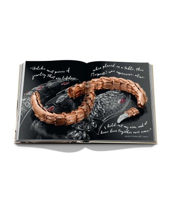 Livre Bulgari: Beyond Time hantent personnes