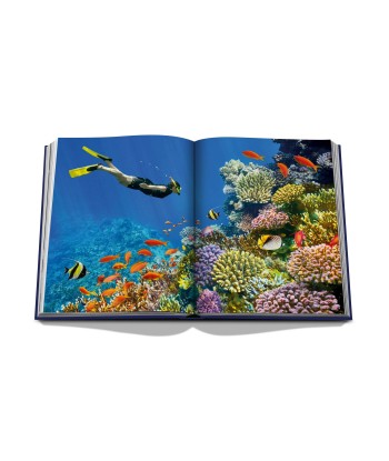 Livre Ocean Wanderlust de la marque